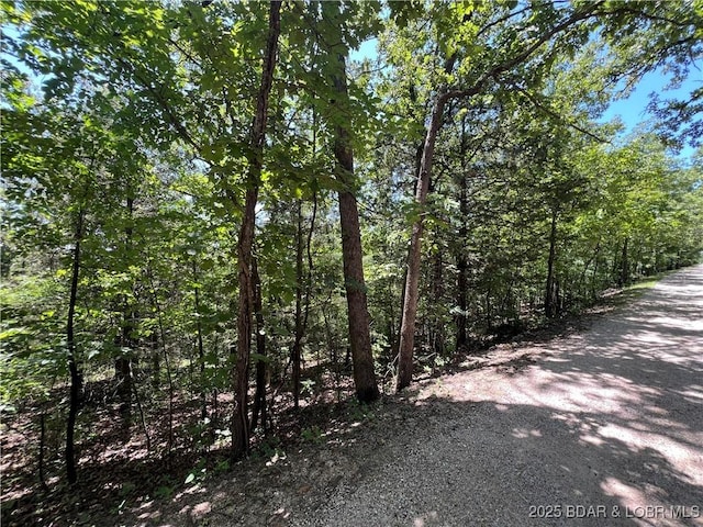 TBD Paradise Ln, Osage Beach, MO 65065 - photo 4