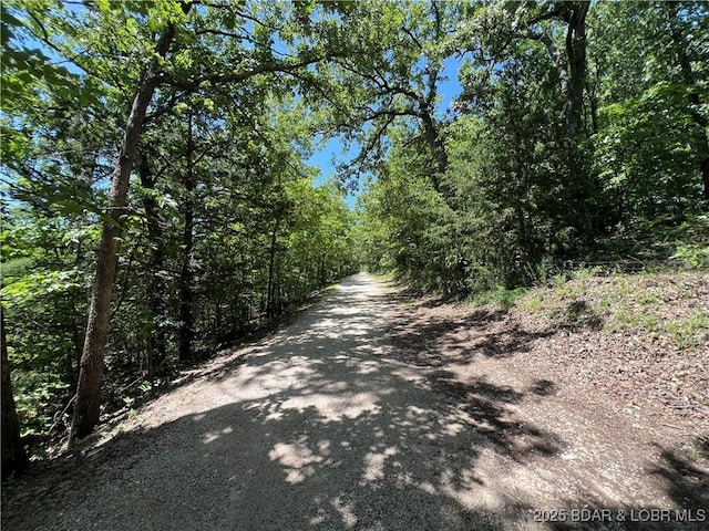 TBD Paradise Ln, Osage Beach, MO 65065 - photo 8