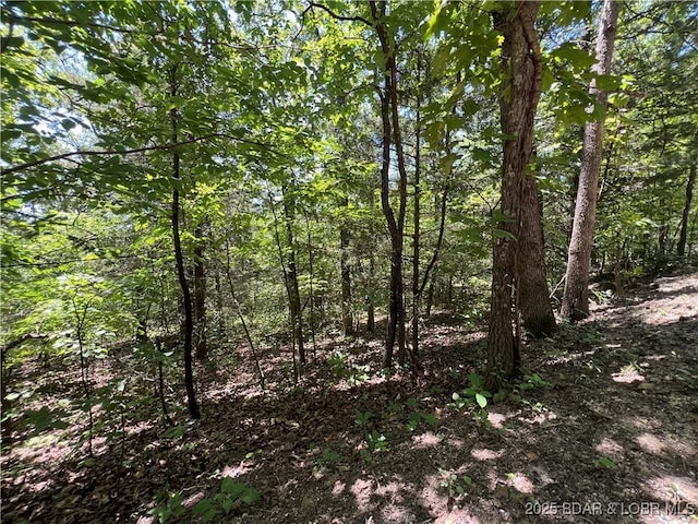 TBD Paradise Ln, Osage Beach, MO 65065 - photo 9