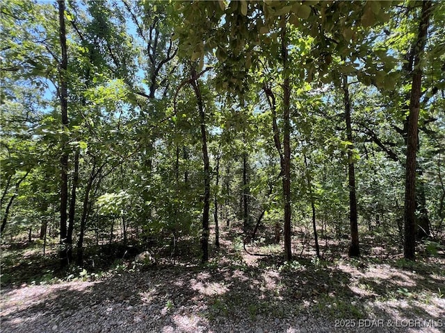 TBD Paradise Ln, Osage Beach, MO 65065 - photo 10