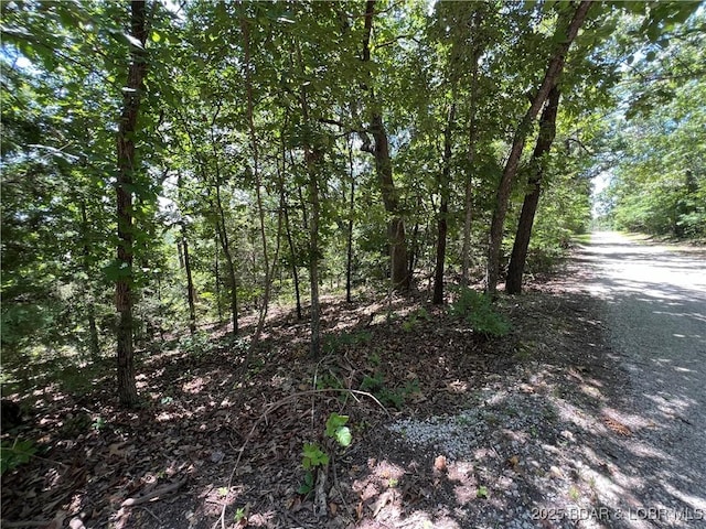 TBD Paradise Ln, Osage Beach, MO 65065 - photo 11