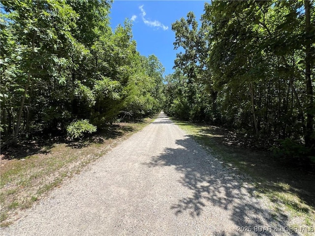 TBD Paradise Ln, Osage Beach, MO 65065 - photo 12
