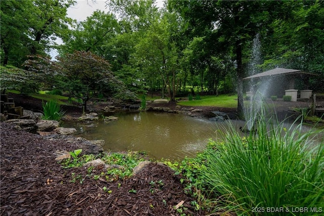 274 Cedar Crest Dr, Lake Ozark, MO 65049 - photo 44