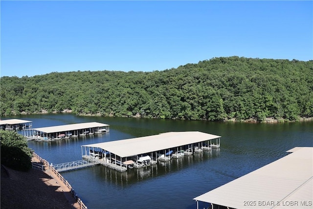 611 Lazy Days Rd Unit C9, Osage Beach, MO 65065 - photo 10