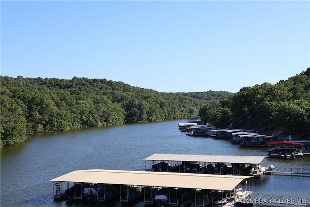 611 Lazy Days Rd Unit C9, Osage Beach, MO 65065 - photo 11