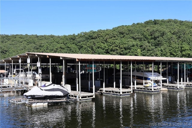 611 Lazy Days Rd Unit C9, Osage Beach, MO 65065 - photo 34