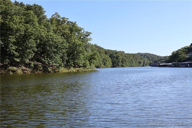 611 Lazy Days Rd Unit C9, Osage Beach, MO 65065 - photo 35