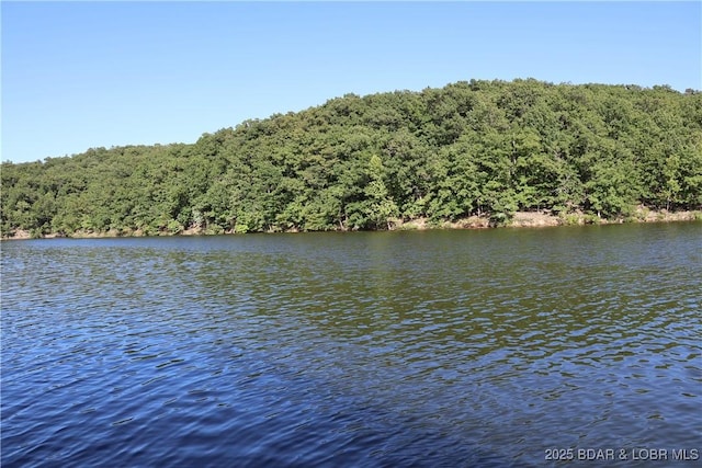 611 Lazy Days Rd Unit C9, Osage Beach, MO 65065 - photo 36
