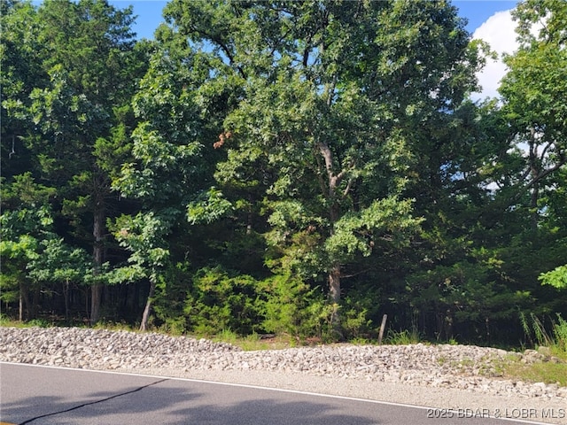 LOT8 Royal Ct, Four Seasons, MO 65049 - photo 20