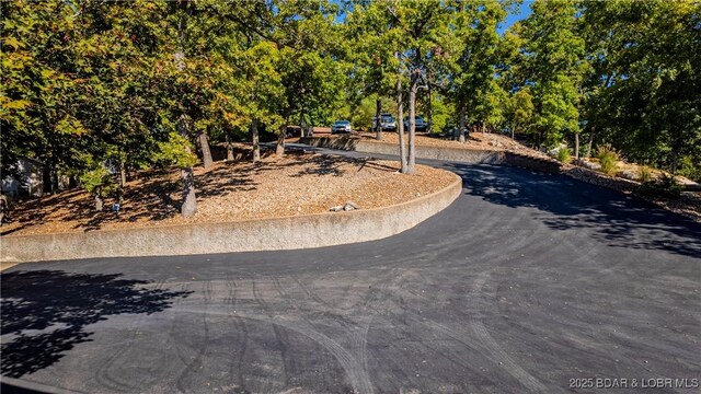 6 Cardinal Cir, Lake Ozark, MO 65049 - photo 42