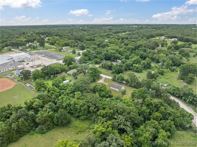 4778 Dority Dr, Climax Springs, MO 65324 - photo 4