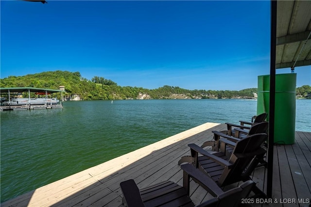532 Lakeshore Dr, Camdenton, MO 65020 - photo 49