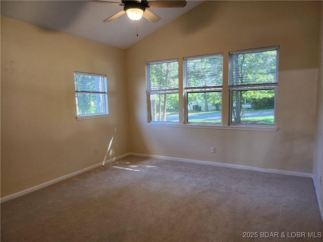 207 Weiskopf Way, Camdenton, MO 65020 - photo 6