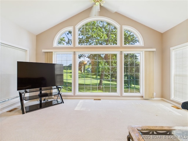 207 Eagle Ave, Gravois Mills, MO 65037 - photo 11