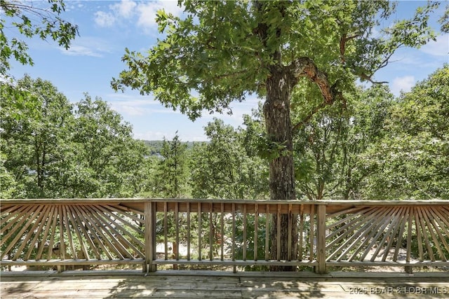148 Peacock Ln, Linn Creek, MO 65052 - photo 16