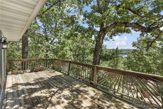 148 Peacock Ln, Linn Creek, MO 65052 - photo 17