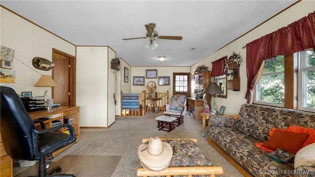900 Buckridge Rd, Climax Springs, MO 65324 - photo 8