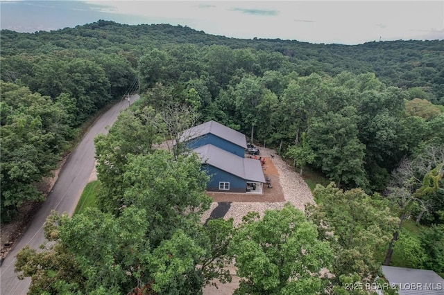 305 Highlands Dr, Camdenton, MO 65020 - photo 44