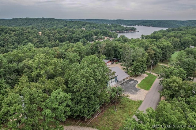 305 Highlands Dr, Camdenton, MO 65020 - photo 46