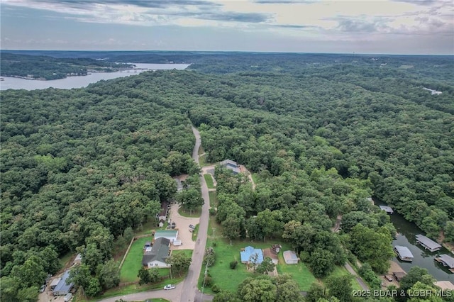 305 Highlands Dr, Camdenton, MO 65020 - photo 47
