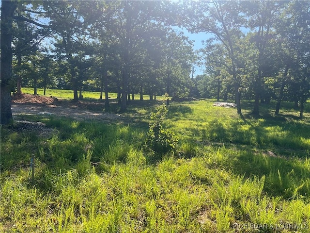 LOT38 Quiet Meadows Dr, Linn Creek, MO 65052 - photo 3