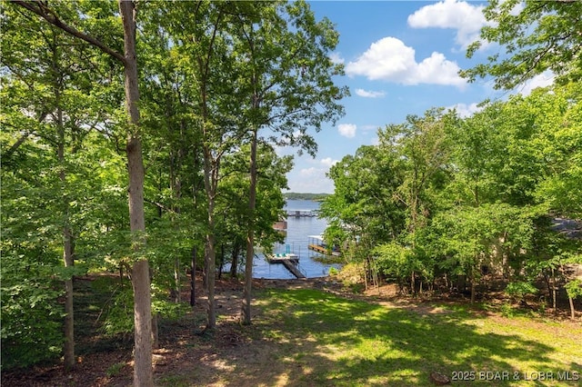 6 Crocker Ct, Lake Ozark, MO 65049 - photo 23