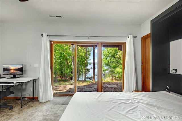 6 Crocker Ct, Lake Ozark, MO 65049 - photo 39