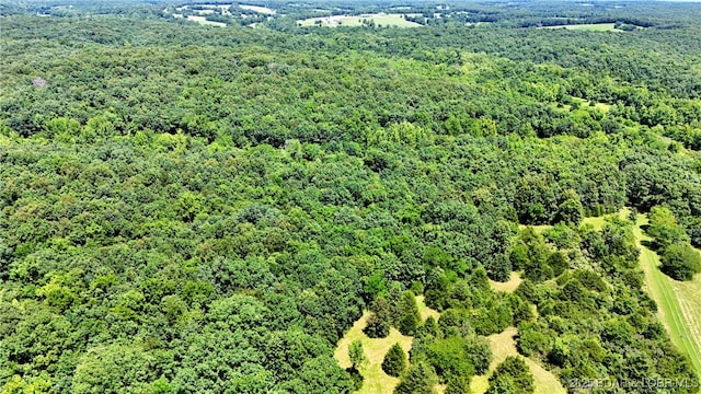 19299 Sunday Dr, Barnett, MO 65011 - photo 4