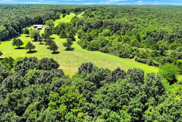 19299 Sunday Dr, Barnett, MO 65011 - photo 6