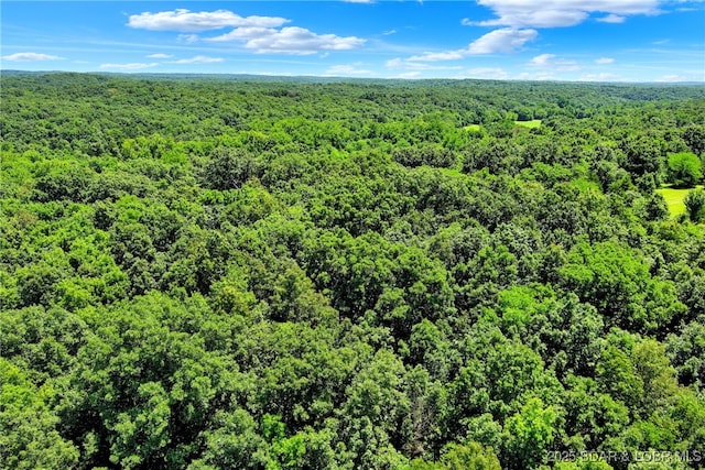 19299 Sunday Dr, Barnett, MO 65011 - photo 10