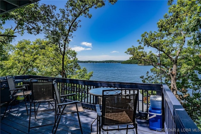 30906 Carr Ln, Rocky Mount, MO 65072 - photo 40