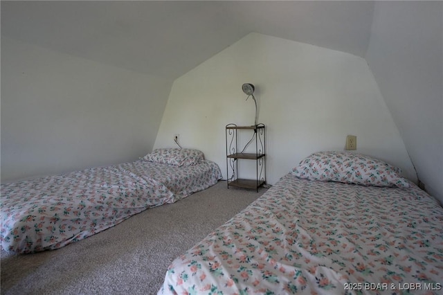 30906 Carr Ln, Rocky Mount, MO 65072 - photo 28