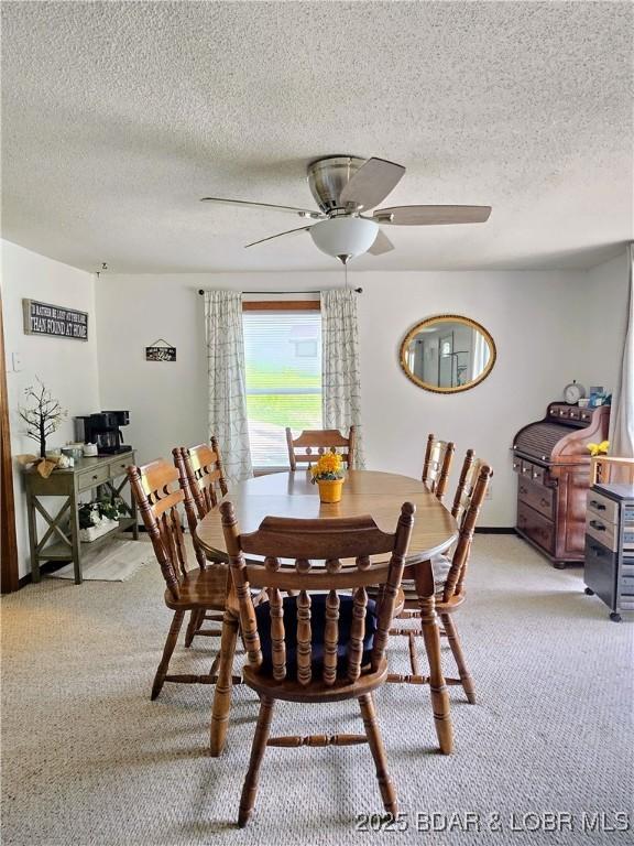 1508 Red Fox Rd, Climax Springs, MO 65324 - photo 15