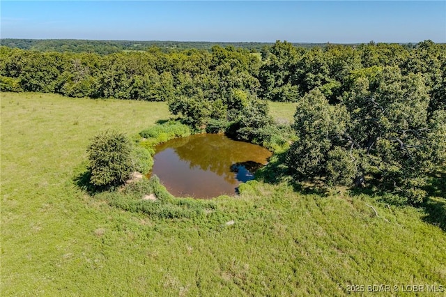 TBD Pawnee Rd, Lebanon, MO 65536 - photo 32