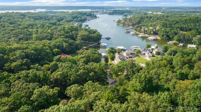 368 Red Bird Rd, Lake Ozark, MO 65049 - photo 5