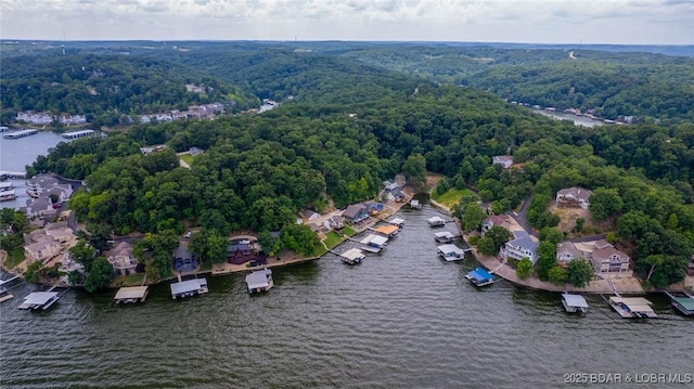 497 Vista Point Rd, Camdenton, MO 65020 - photo 47