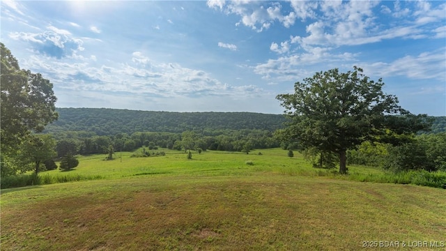 2594 Wagon Trail Rd, Camdenton, MO 65020 - photo 38