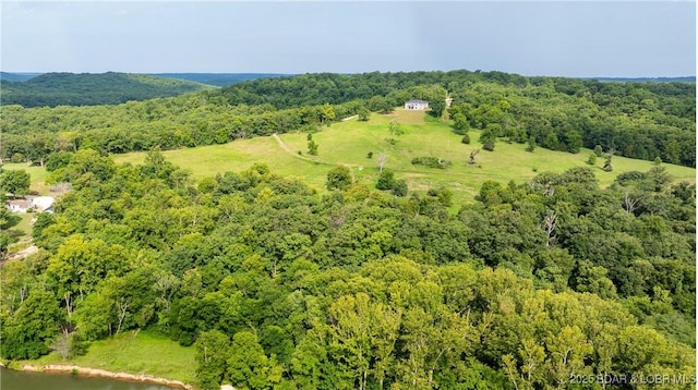 2594 Wagon Trail Rd, Camdenton, MO 65020 - photo 43
