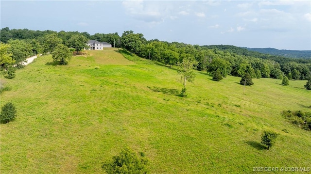 2594 Wagon Trail Rd, Camdenton, MO 65020 - photo 41
