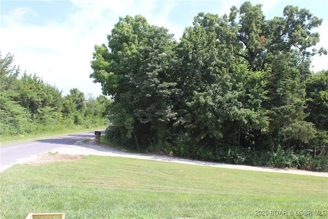 29335 Silver Moon Resort Rd, Gravois Mills, MO 65037 - photo 21