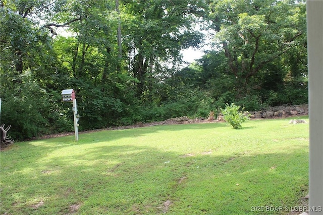 29335 Silver Moon Resort Rd, Gravois Mills, MO 65037 - photo 40
