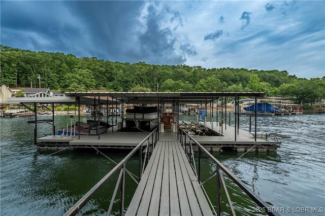 603 Niangua Shores Rd, Camdenton, MO 65020 - photo 22