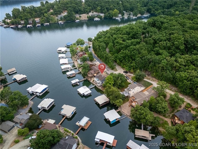 603 Niangua Shores Rd, Camdenton, MO 65020 - photo 41