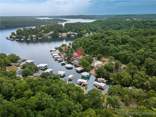 603 Niangua Shores Rd, Camdenton, MO 65020 - photo 42