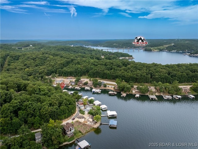 603 Niangua Shores Rd, Camdenton, MO 65020 - photo 43