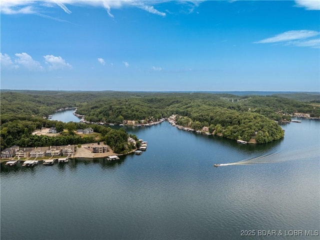 603 Niangua Shores Rd, Camdenton, MO 65020 - photo 44