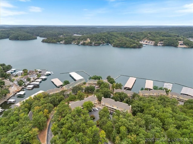 2500 Bay Point Ln Unit 232, Osage Beach, MO 65065 - photo 16
