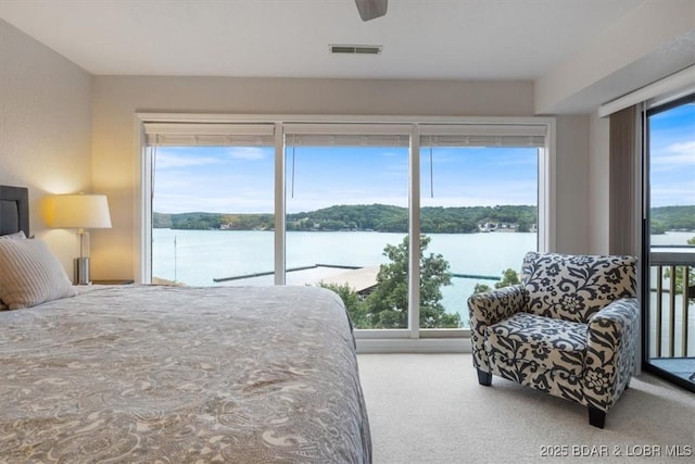 2500 Bay Point Ln Unit 232, Osage Beach, MO 65065 - photo 34