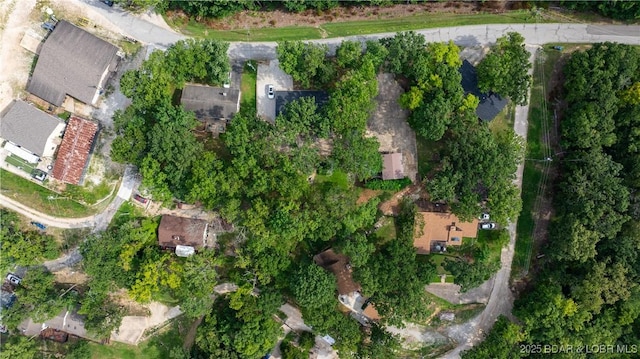 270 Basswood Rd, Sunrise Beach, MO 65079 - photo 38