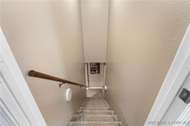 202 Simmons Loop, Macks Creek, MO 65786 - photo 24